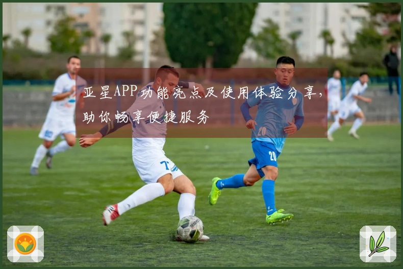 亚星APP功能亮点及使用体验分享，助你畅享便捷服务